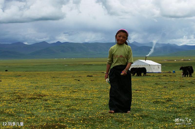Qinghai Minhe Peach Garden Forest Tourism Guide