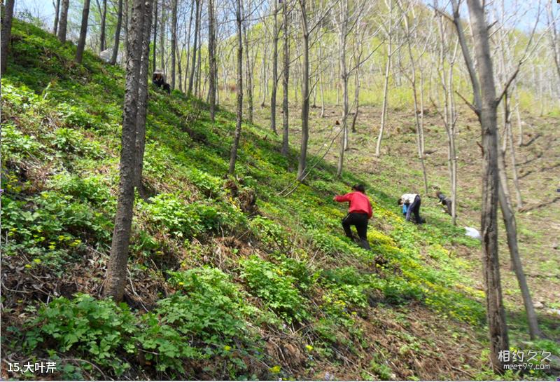 Tianshui Xiangji Mountain Travel Guide