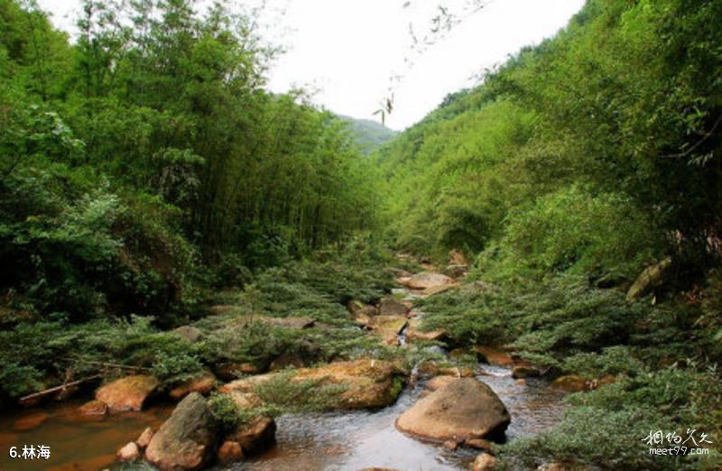 Tongren Songtaomiao Wangcheng Travel Guide