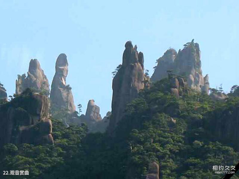 Xi'an Big Wild Goose Pagoda Scenic Area Travel Guide
