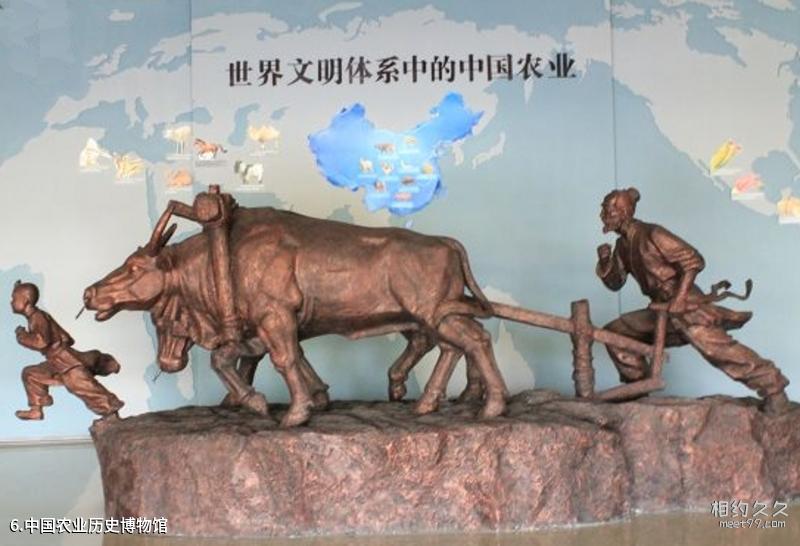Xi'an Hancheng Lake Scenic Area Tourism Guide