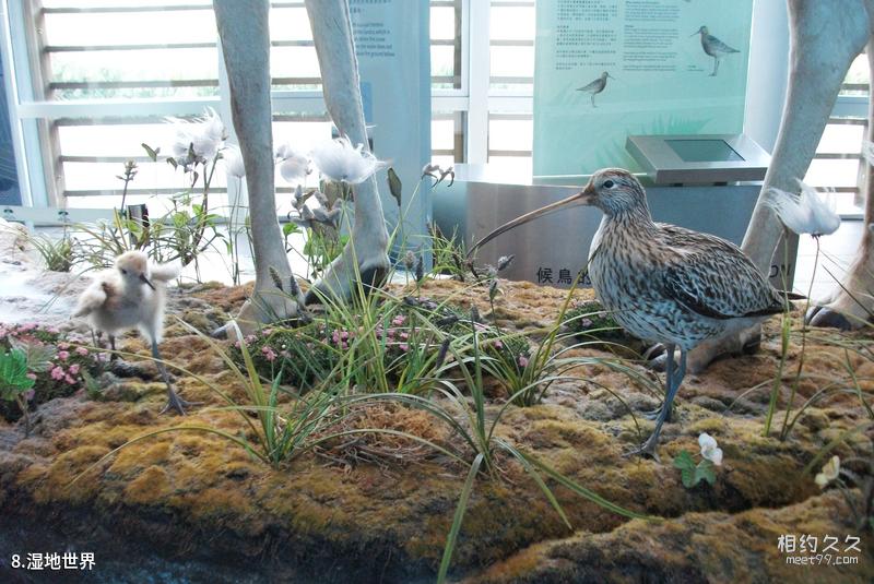 Guía de viaje del Parque Oceánico de Hong Kong