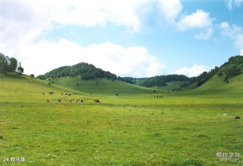 Dingxi Guiqing Mountain Scenic Area Travel Guide