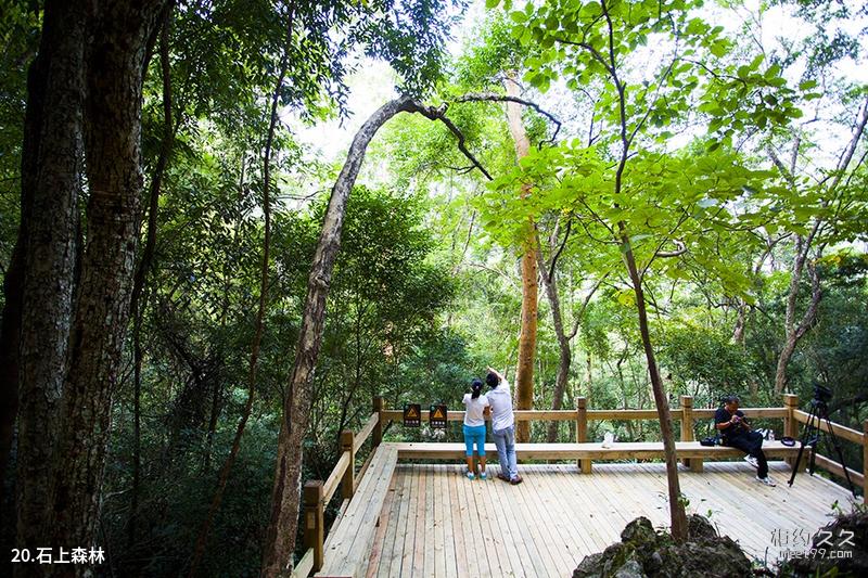 Guizhou Jiaxiu Tower Travel Guide