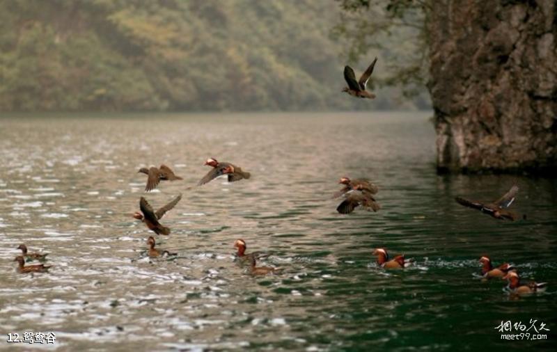 Guiyang Huaxi Scenic Area Travel Guide