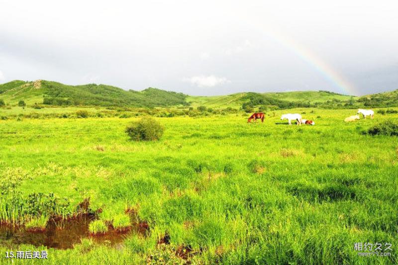 Daqinggou National Nature Reserve Travel Guide