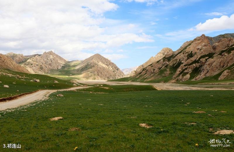 Menyuan Baili Rapeseed Flower Sea Scenic Spot Travel Guide